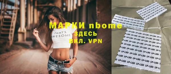 крисы Богородицк