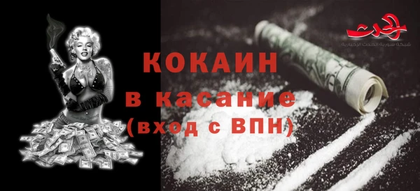 крисы Богородицк