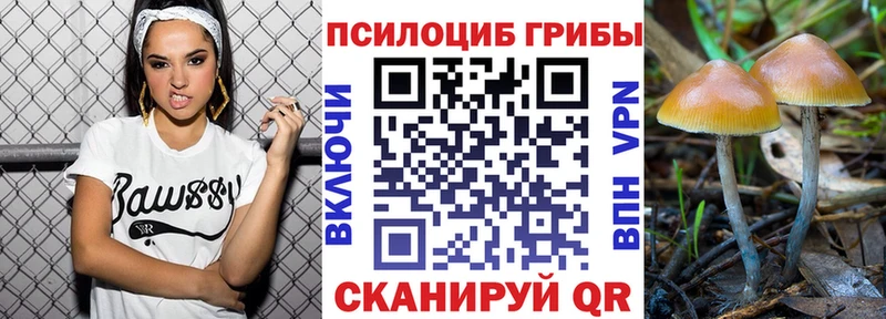 Галлюциногенные грибы прущие грибы что такое Большой Камень